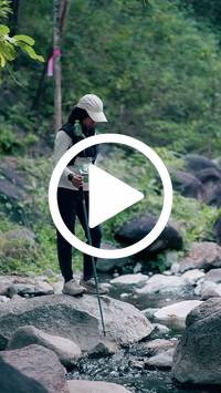 BIB:  <button type="button" onclick="openModal(28100073)" class="btn btn-primary btn-sm float-right" data-toggle="modal" data-target=".modal-high-quality">
                <i class="fa fa-download"></i> Download
                </button>